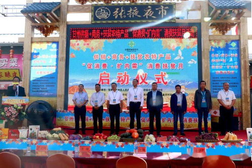 甘州區多措并舉促消費擴內需，消費扶貧月活動助力鄉村振興